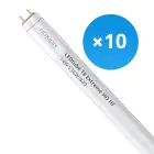 Fordelspakke 10x Noxion LED Lysrør T8 Avant Extreme (HF) High Output 14W 2100lm - 840 kold hvid | 120cm - erstatter 36W
